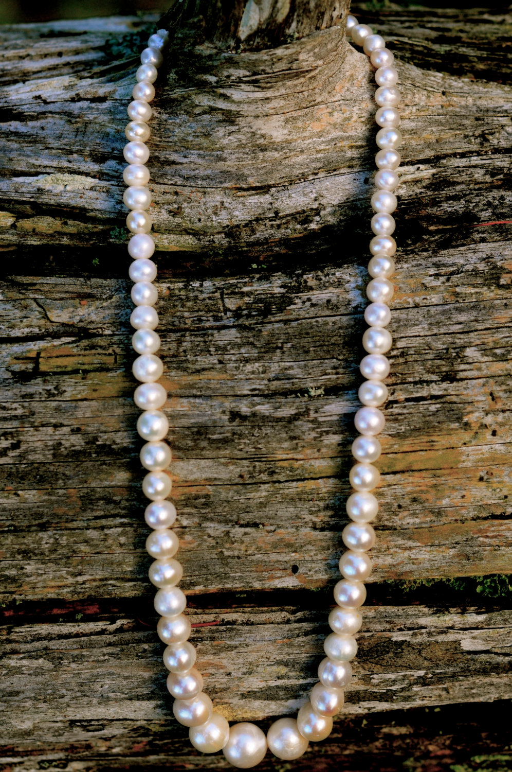 A classic string of pearls Freshwater Creations