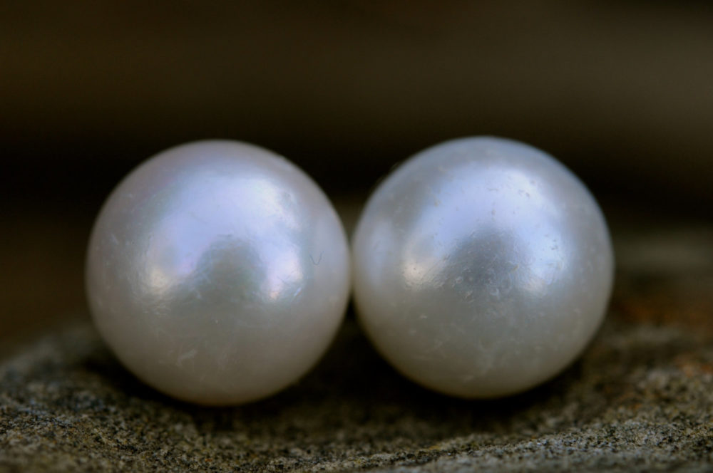 a perfect pair of large white pearl stud earrings, 13mm white pearl, milky white soft matte moon-like surface, ideally matched