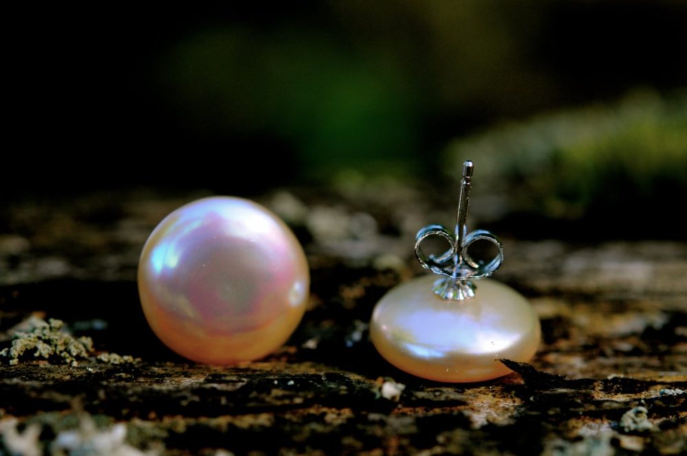 gorgeous sunny peach coin pearl stud earrings, golden peach pearl studs, large peach pearl stud earrings